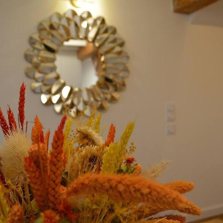 Charmant Appartement - Proche Chateau Cite Carcasona Exterior foto